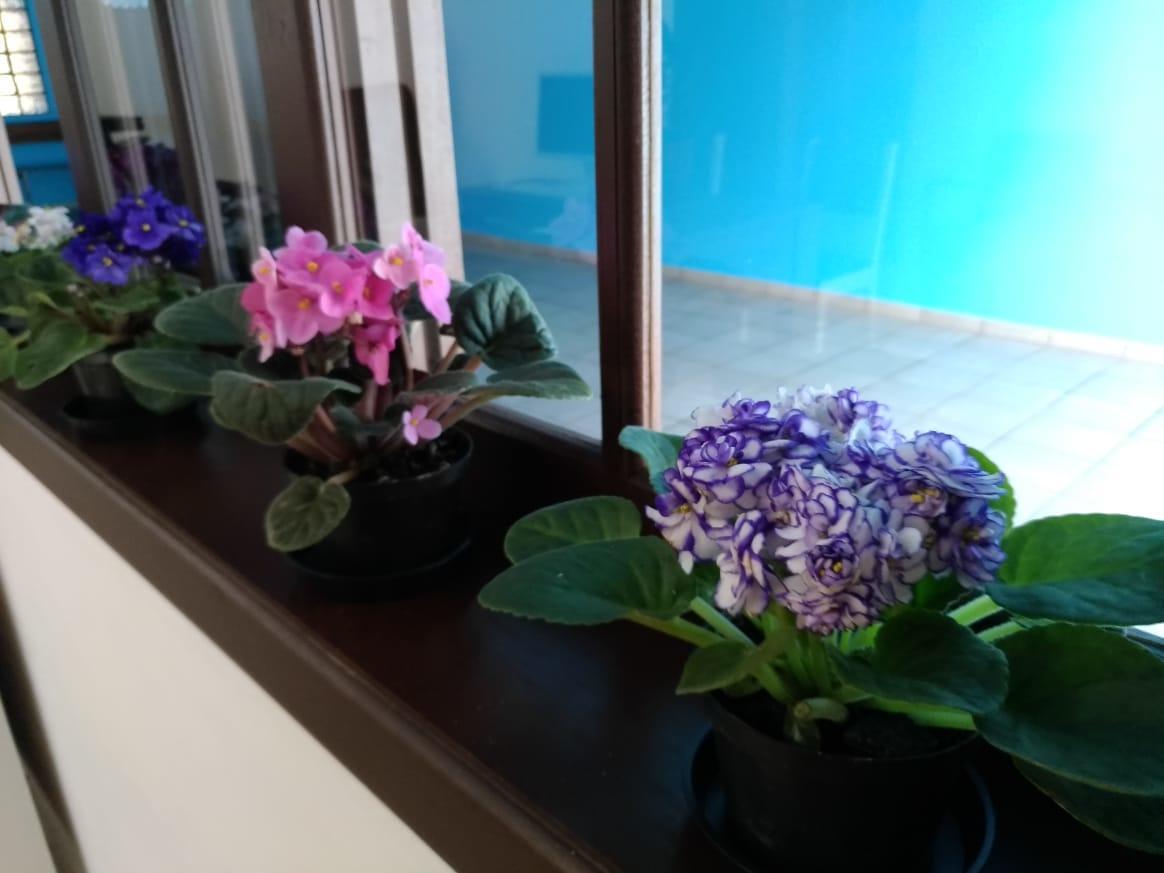 Hostel Villa Pomerania بوميرودي المظهر الخارجي الصورة